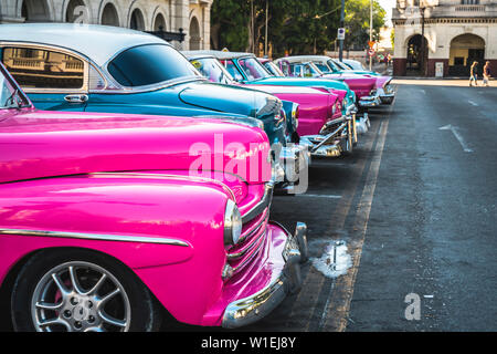 La colorata Vecchia American taxi auto parcheggiate in Avana, La Habana (l'Avana, Cuba, West Indies, dei Caraibi e America centrale Foto Stock