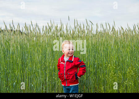 Piccola baia nel campo di segale. Sera d'estate. Foto Stock