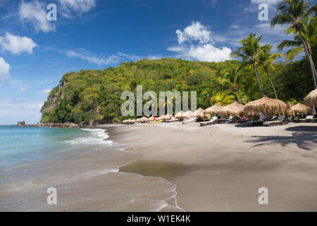 Vista lungo la spiaggia dal bordo dell'acqua, Anse Chastanet, Soufriere, St. Lucia, isole Windward, Piccole Antille, West Indies, dei Caraibi Foto Stock