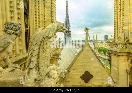 I doccioni della cattedrale di Notre Dame (Nostra Signora di Parigi) e veduta aerea della skyline di Parigi, Parigi, Francia, Europa Foto Stock