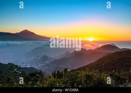 Sunset, il Pico del Teide, 3718m, la montagna più alta in Spagna e Parco Nazionale di Teide, sito Patrimonio Mondiale dell'UNESCO, Tenerife, Isole Canarie, Spagna, Atlantico Foto Stock