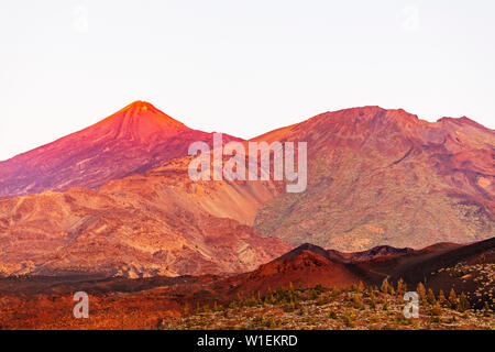 Pico del Teide, 3718m, la montagna più alta in Spagna e Parco Nazionale di Teide, sito Patrimonio Mondiale dell'UNESCO, Tenerife, Isole Canarie, Spagna, Atlantico, Europa Foto Stock