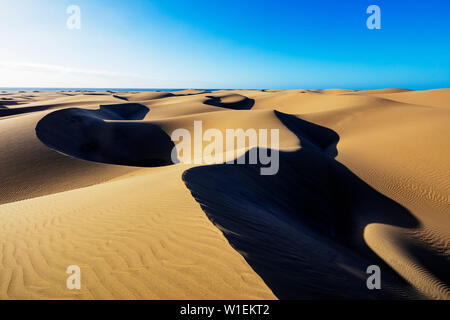 Dune di Maspalomas Riserva Naturale, Gran Canaria Isole Canarie Spagna, Atlantico, Europa Foto Stock