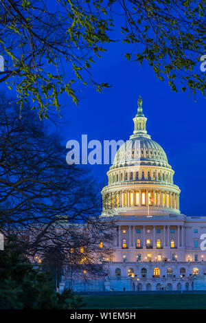 Vista della United States Capitol Building al crepuscolo, Washington D.C., Stati Uniti d'America, America del Nord Foto Stock