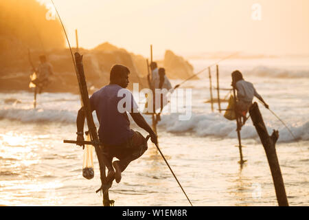 Stilt pescatori all'alba, Weligama, South Coast, Sri Lanka, Asia Foto Stock