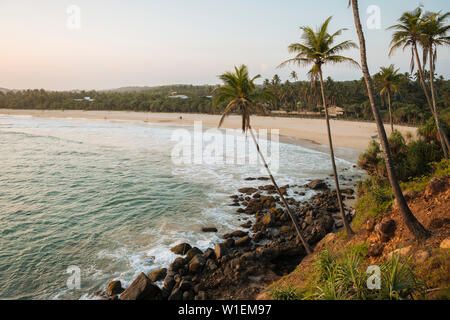 Tramonto dietro palme, Talalla Beach, South Coast, Sri Lanka, Asia Foto Stock