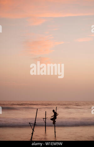 Stilt pescatori al tramonto, Weligama, South Coast, Sri Lanka, Asia Foto Stock