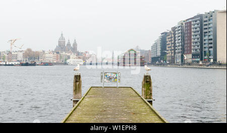 Amsterdam, Paesi Bassi - Maggio 2019. due gabbiani sedersi su pali di legno e di guardare ad ogni altro. Foto Stock