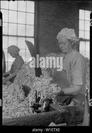 Mt. Holyoke, Massachusetts - Carta. La letteratura americana Paper Co. Rag ordinamento (irlandesi). Foto Stock