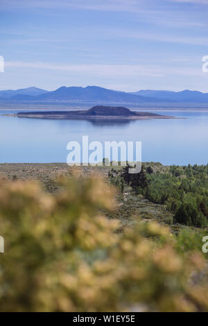 Paoha Island nel Mono Lake Park vista dal Mono Basin Visitor Center, Lee Vining, California, USA Foto Stock