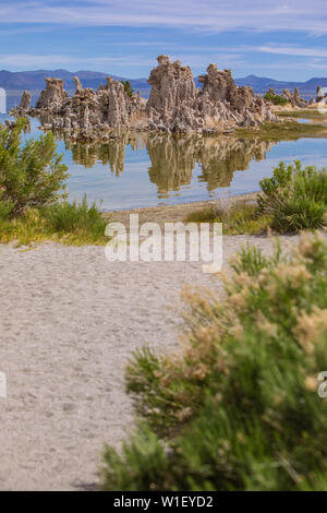 Tufas nel lago Mono, guglie e manopole di carbonato di calcio, Lee Vining, California, Stati Uniti Foto Stock