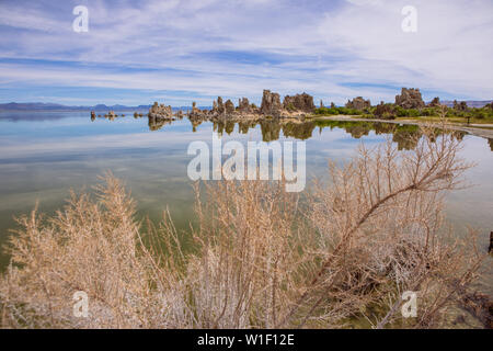 Vista grandangolare dei tufas del lago Mono, delle guglie e delle manopole in carbonato di calcio, Lee Vining, California, USA Foto Stock