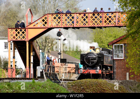 GWR Classe 9400 bauletto serbatoio n. 9466 a Buckfastleigh durante il South Devon Railway il cinquantesimo anniversario di gala. Il loco è in esecuzione come n. 9462. Foto Stock