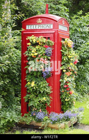 Piantatrice di scatole telefoniche. Un defunto telefono a bordo strada trasformato in un giardino verticale piantato con begonia e lobelia in un villaggio inglese. REGNO UNITO Foto Stock