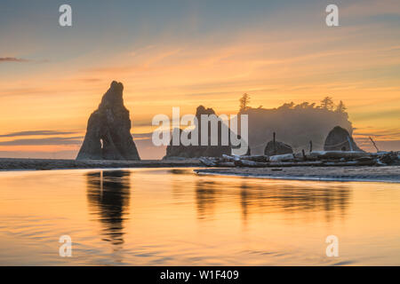 Il Parco nazionale di Olympic, Washington, Stati Uniti d'America al Ruby Beach. Foto Stock