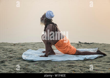 Roma Baba Sadhu a praticare yoga all'alba sul Gange riverbank, per il solo uso editoriale, di Allahabad Kumbh Mela, più grande del mondo religioso, raccolta Utt Foto Stock