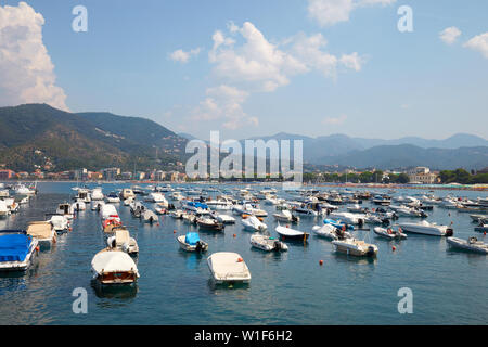 SESTRI LEVANTE, Italia - 23 agosto 2018: Sestri Levante porto con barche in una soleggiata giornata estiva in Italia Foto Stock