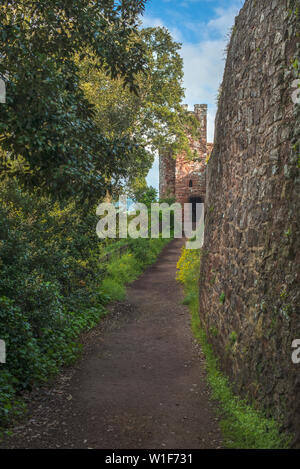 Vista delle mura superstite e torre di Rougemont Castle con mura romane, Exeter, Devon. In Inghilterra. Regno Unito. Foto Stock