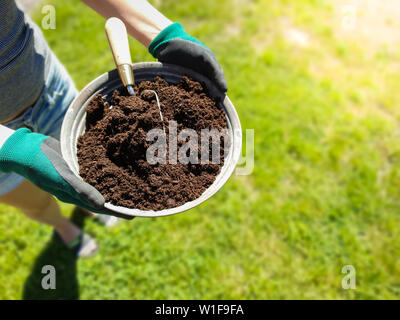 Concetto per il verde Giardinaggio organico e l'agricoltura. Le mani nei guanti di gomma contiene un cucchiaio di metallo con il terreno e l'attrezzo. Foto Stock