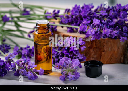 L'olio essenziale di lavanda bottiglia con fiori freschi Foto Stock