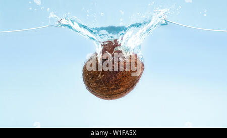 Cocco fresco caduta in acqua chiara con splash Foto Stock