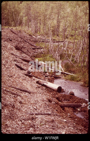 LEACHINGS dalla corteccia di rifiuti e sostanze chimiche in inquinato affluente del ST. CROIX River. Questo tipo di rifiuti dalla Georgia Pacific PAPER CO. È SULLA PROPRIETÀ DI CHARLES TOWNE, uno dei querelanti IN UNA TUTA CONTRO LA SOCIETÀ Foto Stock