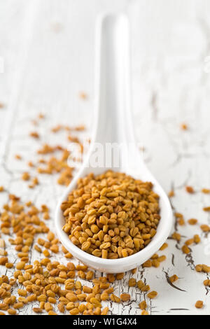 Secchi, materie fenugreek seme nel cucchiaio bianco close up su bianco tavola in legno rustico sfondo con il fuoco selettivo Foto Stock