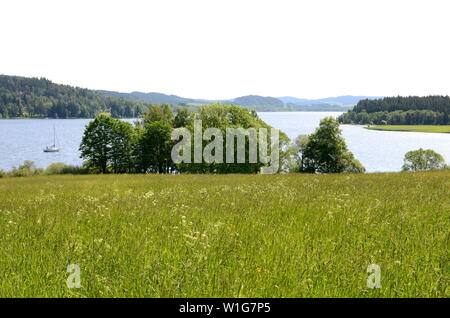 Lipno serbatoio vicino Horni Plana in Boemia del Sud Foto Stock