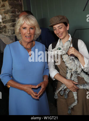 La duchessa di Cornovaglia incontra artisti durante una serata di musica e teatro ospitato dal Principe di Galles e Camilla a loro casa gallese Llwynywermod in Llandovery, Carmarthenshire. Foto Stock