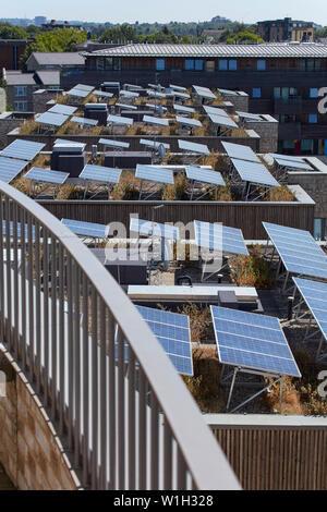 Pannelli solari sul tetto. Stonebridge Park, London, Regno Unito. Architetto: Cullinan Studio, 2016. Foto Stock
