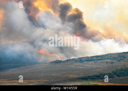 Fuochi bruciare lungo il serbatoio Jordanelle est di Park City, Utah. Il fuoco era in direzione sud verso la baia di Fox e Stillwater condos adiacente Foto Stock