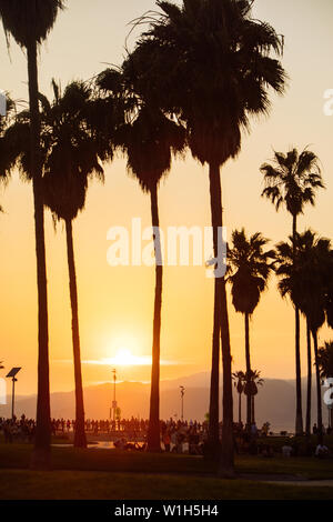 Tramonto in skate park in Venice Beach, Los Angeles, California, Stati Uniti d'America Foto Stock