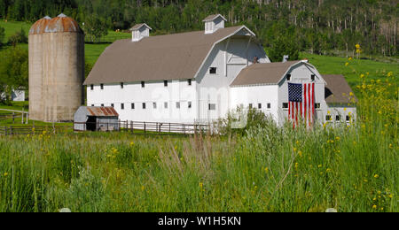 La bandiera americana si erge con orgoglio su una maestosa white barn in mezzo a campi di verde. Il McPolin Farm è un punto di riferimento distintivo sulla porta d ingresso al parco ci Foto Stock