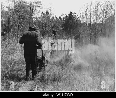 Newberry County, Carolina del Sud. Allegheny linea di fuoco scavafossi in azione in un sedge erba e radica f . . .; Portata e contenuto: Full didascalia recita come segue: Newberry County, Carolina del Sud. Allegheny linea di fuoco scavafossi in azione in un sedge erba e campo di radica sul Sumter National Forest. Foto Stock