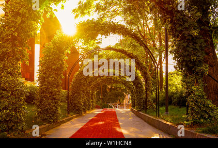 Bellissimo giardino archway. Verde lussureggiante fogliame di appendere la formazione di arco drammatico con la luce del tramonto streaming attraverso nel giardino panoramico Foto Stock