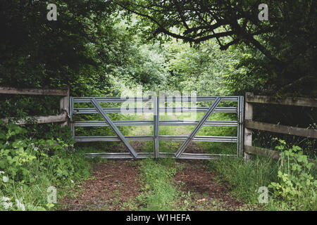 Porta di metallo che conduce verso il basso in una selva vecchia strada sterrata in una foresta umida su un nuvoloso giorno di pioggia Foto Stock