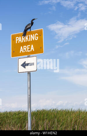 Miami Florida,i 75,Interstate 75,Alligator Alley,le Everglades,sosta di riposo,area parcheggio,cartello,logo,freccia,paludi erba sega,fauna selvatica,ecosistema,ambientani Foto Stock