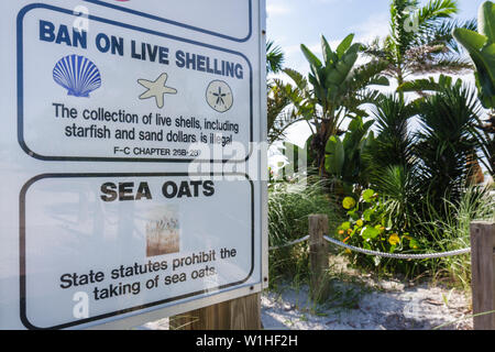 Florida Collier County, Fort ft. Myers Beach, Golfo del Messico Coast, spiaggia pubblica, parco regole, segno, grafica, regolamenti, specie protetta, vegetazione, ecosyst Foto Stock