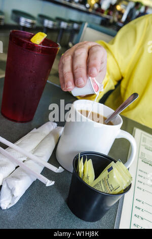 Florida Highlands County, Sebring, US Highway Route 27, Sebring Diner, ristorante, ristoranti, ristoranti, ristoranti, ristoranti, ristoranti, ristoranti, ristoranti, caffè, bistrot, servi Foto Stock