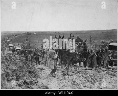 Scosse privato cercando di spostare i muli trasporta un americano di munizioni carro bloccato in strada, tenendo l'anticipo di tutta la colonna. San Baussant, a est di San Mihiel, Francia, settembre 13, 1918, ca. 1900 - 1982; Note Generali: Utilizzo di guerra e di conflitto numero 585 quando si ordina una riproduzione o la richiesta di informazioni su questa immagine. Foto Stock