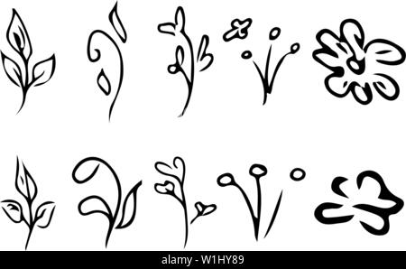 Fiori e rami isolati su sfondo bianco. Disegnata a mano doodle collection. 10 floreali elementi grafici. Vettore di grandi set. Delineare le icone. Illustrazione Vettoriale