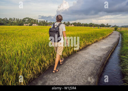 Turismo a maschio con uno zaino va sul campo di riso Foto Stock