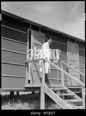 Sacramento, in California. Masamichi Suzuki, compagno di stanza di Harvey Itano, leaing è la sua baracca stanza a t . . .; Portata e contenuto: tutta la didascalia per questa fotografia si legge: a Sacramento, in California. Masamichi Suzuki, compagno di stanza di Harvey Itano, leaing è la sua baracca camera presso il centro di raccolta. Egli ha avuto tre anni di formazione avanzata che include tre anni presso la University of California Medical School ed è un membro del Phi Beta Kappa. Egli è stato assistere nel centro di assemblaggio di ospedale e le speranze più tardi a specializzarsi in patologia. Foto Stock