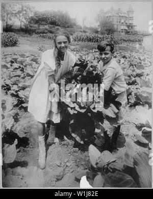 La scuola dei bambini tenendo premuto uno dei grandi capi di cavolo sollevato nella guerra giardino della scuola pubblica 88, Borough of Queens, a New York City. Il giardino copre un tratto di 1< acri e fruttato oltre $500 che vale la pena di produrre, ca. 1918; le note generali: utilizzo di guerra e di conflitto numero 562 quando si ordina una riproduzione o la richiesta di informazioni su questa immagine. Foto Stock