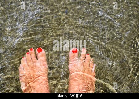 Foto scattata nella natura o in città durante il nostro viaggio Foto Stock