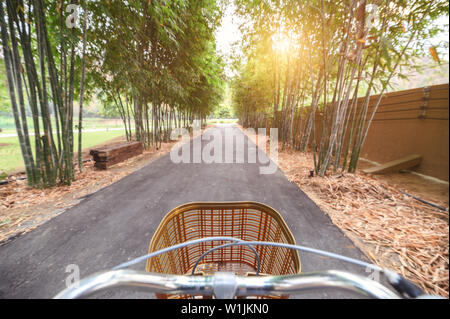 Mountain bike bicicletta retrò nella foresta di bamboo con brillano alla luce del sole Foto Stock