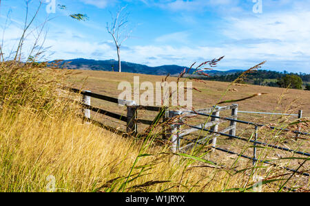 Il rurale paesaggio australiano con un cancello e recinzioni in primo piano. Foto Stock