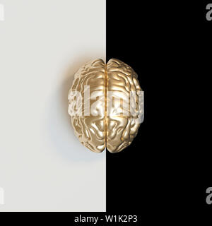 3D render image di un color oro del cervello umano su un bianco e sfondo nero. concetto di visioni diverse buone e cattive. Piatto stile di laici. Foto Stock