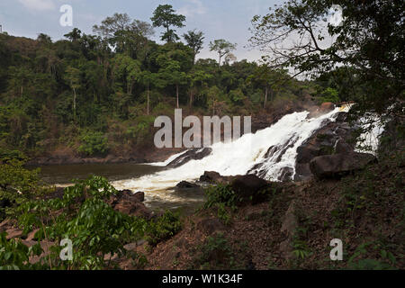 Cascate di Bumbuna sulle rapide del fiume Rokel vicino al villaggio di Bumbuna in cespuglio tra la vegetazione lussureggiante della foresta pluviale, Sierra Leone Foto Stock