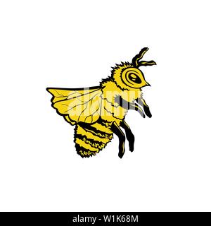 Il miele delle api disegnati a mano illustrazione vettoriale. Inchiostro zoomorfi schizzo della penna. Giallo schizzo di insetti. Doodle honeybee clipart. Stilizzata disegno a mano libera. Colore isolato elemento di design. Bumblebee logo contorno Illustrazione Vettoriale